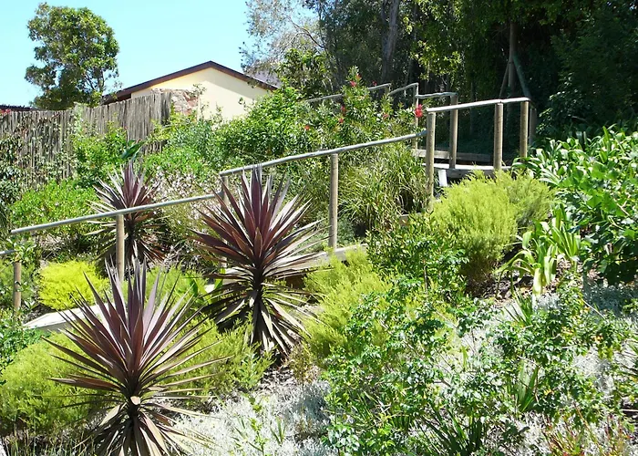 Double Dutch B & B